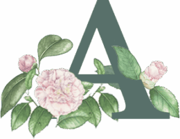 single-image-14